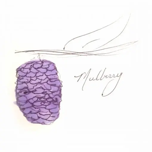 one purple mulberry hanging from a tree branch