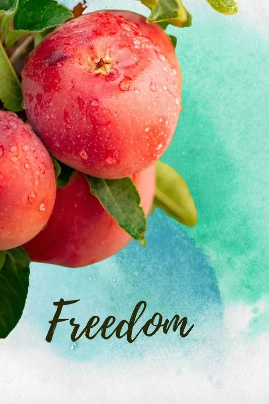 freedom apple tree