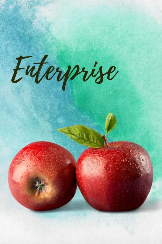 enterprise apple tree