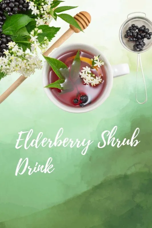elderberry shrub recipe